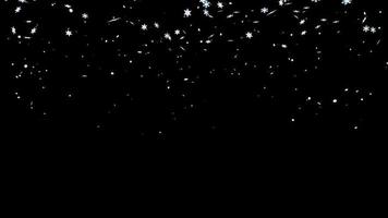 animering av fallande snö. svart bakgrund . lämplig för dina julvideor. snöflingor av olika slag. video