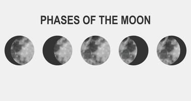 Movements of the Moon Phases Realistic Vector Illustration