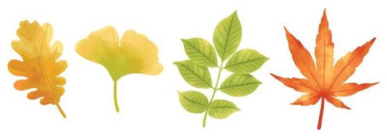 conjunto de ilustraciones de hojas de otoño estilos de acuarela vector