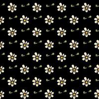 Seamless black pattern with white chamomile flowers. Floral background. White flowers isolated on black background vector