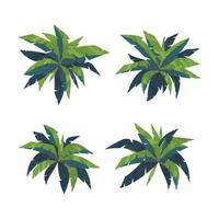 Top view palm leaves tree isolated on white background vector