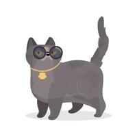 Funny cat with glasses. Cat sticker with a serious look. Good for stickers, t-shirts and postcards. Isolated. Vector. vector