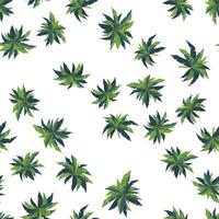 Seamless pattern from palm trees top view. Good for clothing and textiles. Vector illustration.