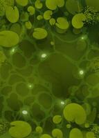 River with lilies top view. Green water surface with sunlight reflection and ripples. Water lilies in the swamp. Vector