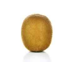 Kiwi fruit on white background photo