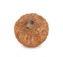 Coconut on white background photo