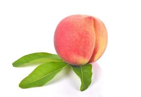 Fresh peach fruit on white background photo