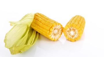 Corn on the cob kernels isolated Clipping Path photo