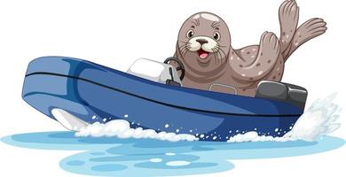 Seal on motor boat in cartoon style vector