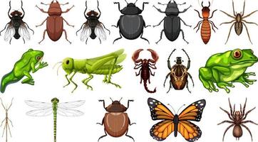 Colección de diferentes insectos aislado sobre fondo blanco. vector