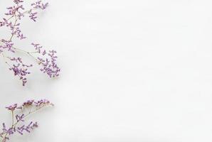 Dried flowers on a white background photo