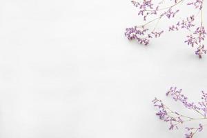 Dried flowers on a white background photo