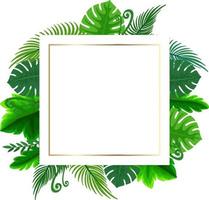 Square frame with tropical green leaves vector