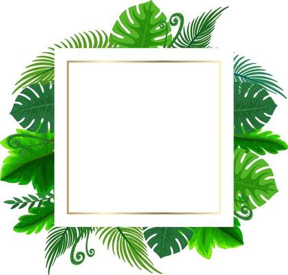 Square frame with tropical green leaves