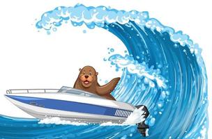 A seal in speed boat in cartoon style vector
