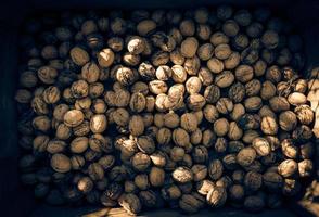 chestnuts in box photo