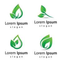 Leaf logo images vector