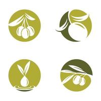 Ilustración de imágenes de logotipo de oliva vector