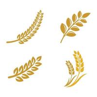 Wheat logo images vector