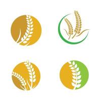 Wheat logo images vector