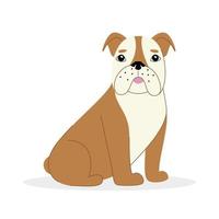 bulldog inglés sobre un fondo blanco. ilustración de perro vector moderno