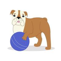 bulldog inglés sobre un fondo blanco. ilustración de perro vector moderno