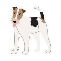 Wire fox terrier isolated on white background. Vector illustration of a pet dog