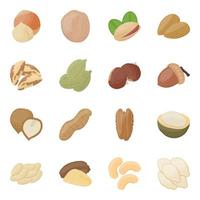 conceptos de nueces de árbol vector