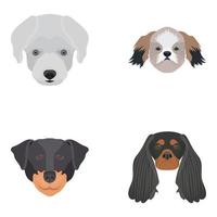 Trendy English Breeds vector