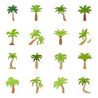 Coconut Tree Concepts vector