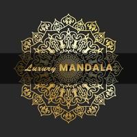 Luxury Mandala Gold Ornament vector