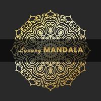 Luxury Mandala Gold Ornament vector