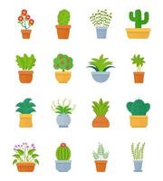 House Plants Concepts vector