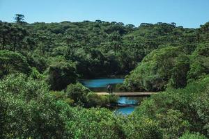 People walking over wooden bridge through forest at the Aparados da Serra National Park near Cambara do Sul. A small country town in southern Brazil with amazing natural tourist attractions. photo