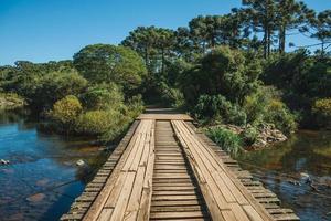 Wooden bridge over creek and trail through forest at the Aparados da Serra National Park near Cambara do Sul. A small country town in southern Brazil with amazing natural tourist attractions. photo