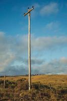 Wooden light poles on landscape of rural lowlands called Pampas covered by parched bushes near Cambara do Sul. A small country town in southern Brazil with amazing natural tourist attractions. photo