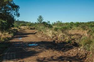 Dirt pathway passing through forest and thicket in the Aparados da Serra National Park, near Cambara do Sul. A small country town in southern Brazil with amazing natural tourist attractions. photo