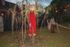 Scarecrow made of colorful clothes in a garden at dusk from a folkloric festival in Canela. A charming small town very popular by its ecotourism in southern Brazil. photo