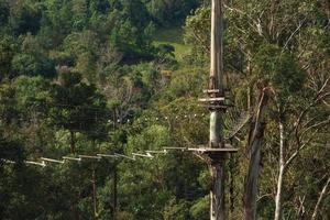 Trunk with tree climbing circuit in a green forest on cloudy day near Canela. A charming small town very popular by its ecotourism in southern Brazil. photo