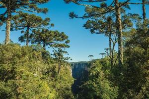 Itaimbezinho Canyon with steep rocky cliffs in a flat plateau covered by forest and pine trees near Cambara do Sul. A small country town in southern Brazil with amazing natural tourist attractions. photo