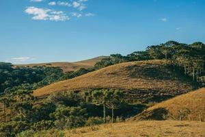 paisaje de tierras bajas rurales llamadas pampas con arboledas verdes y arbustos secos que cubren las colinas cerca de cambara do sul. una pequeña ciudad rural en el sur de Brasil con increíbles atractivos turísticos naturales. foto