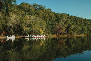 Pedal boats made of fiberglass in the shape of swan on a lake among tall trees at the Immigrant Village Park of Nova Petropolis. A lovely rural town founded by German immigrants in southern Brazil. photo