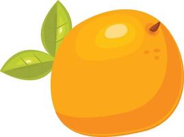 Grapefruit fruit illustration vector