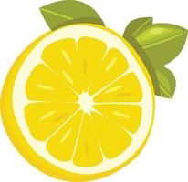 Lemon sliced fruit vector