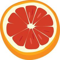 Grapefruit sliced fruit illustration vector