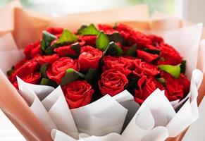 Beautiful red roses photo