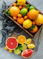 Fresh citrus fruits photo