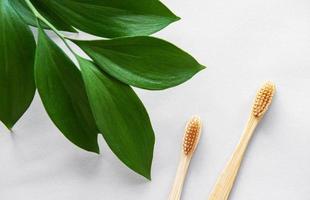 Natural bamboo toothbrushes photo