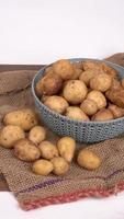 Fresh small potatoes for cooking in a wooden bowl. With copy space  on white background. photo