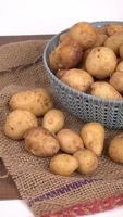 Fresh small potatoes for cooking in a wooden bowl. With copy space  on white background. photo